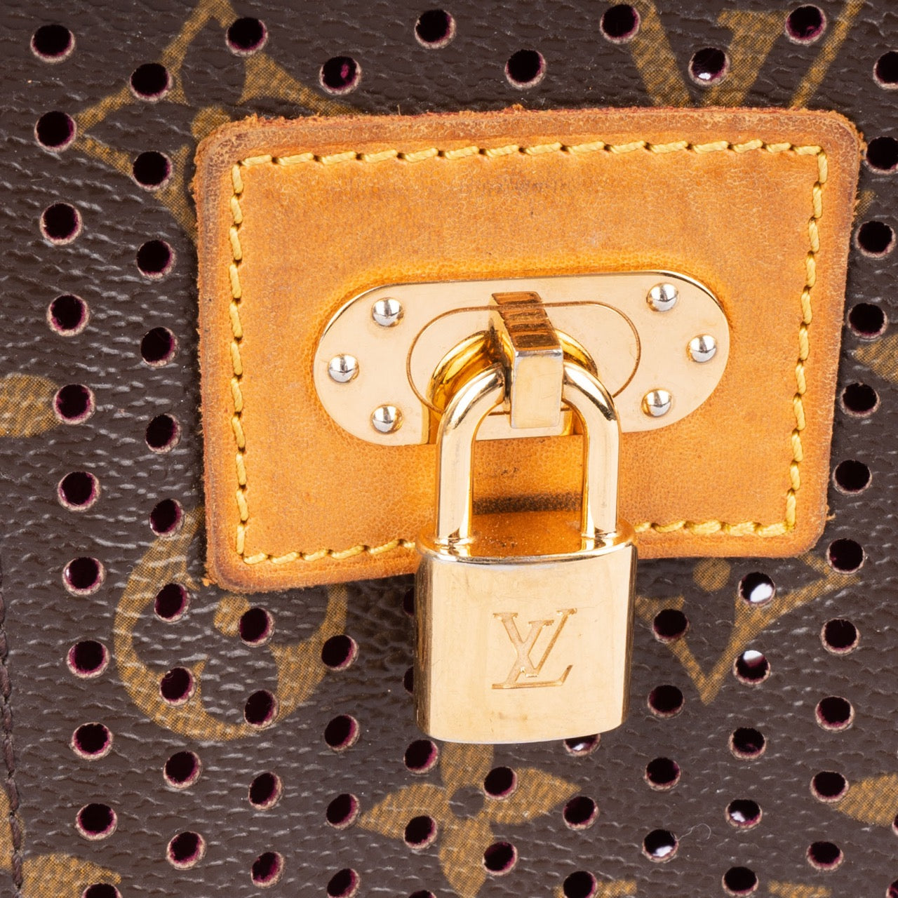 Louis Vuitton Perforated Canvas Monogram Pochette Bag