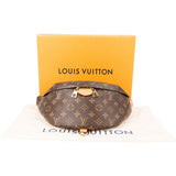 Louis Vuitton Monogram Canvas Bumbag Crossbody Bag