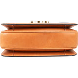 Celine Canvas Leather Triomphe Crossbody Bag