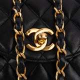 Chanel Quilted Lambskin Diana 24K Gold Single Flap Crossbody Bag