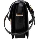 Celine Boxcalf Horse Carriage Triomphe Crossbody Bag