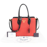 Prada Bicolor Saffiano & Soft Leather Handbag