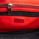 Prada Calf Leather Animal Hair Bibliothèque Handbag