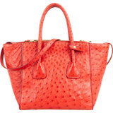 Prada Ostrich Leather Twin Pocket Tote Handbag