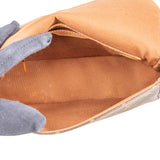 Louis Vuitton Monogram Canvas Mini Looping Shoulder Bag