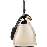 Céline Tricolor Leather and Canvas Trapeze Handbag
