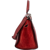 Celine Grained Calfskin Suede Leather Trapeze Handbag