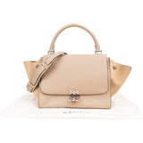Céline Grained Calfskin Suede Trapeze Handbag