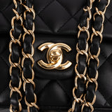 Chanel Quilted Lambskin Medium Double Flap Shoulder Bag