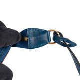 Louis Vuitton Blue Epi Leather Pochette Accessoires Handbag