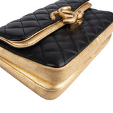 Chanel Quilted Lambskin and Metallic Leather Double Flap Crossbody Bag