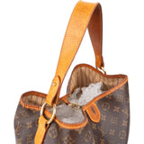 Louis Vuitton Monogram Canvas Delightful PM Shoulder Bag