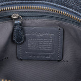 Coach Pebbled Metallic Leather Camera Tassel Crossbody Bag