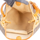 Louis Vuitton Monogram Canvas Delightful PM Shoulder Bag