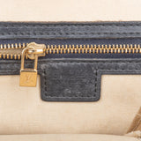 Louis Vuitton Monogram Mini Lin Josephine PM Handbag