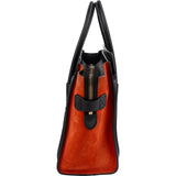 Céline Tricolor Leather Suede Luggage Small Handbag