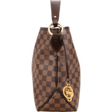Louis Vuitton Monogram Damier Ebene NM Delightful PM Handbag