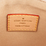 Louis Vuitton Monogram Mini Lin Hills Pochette Accessoires Handbag - vintageandkickz