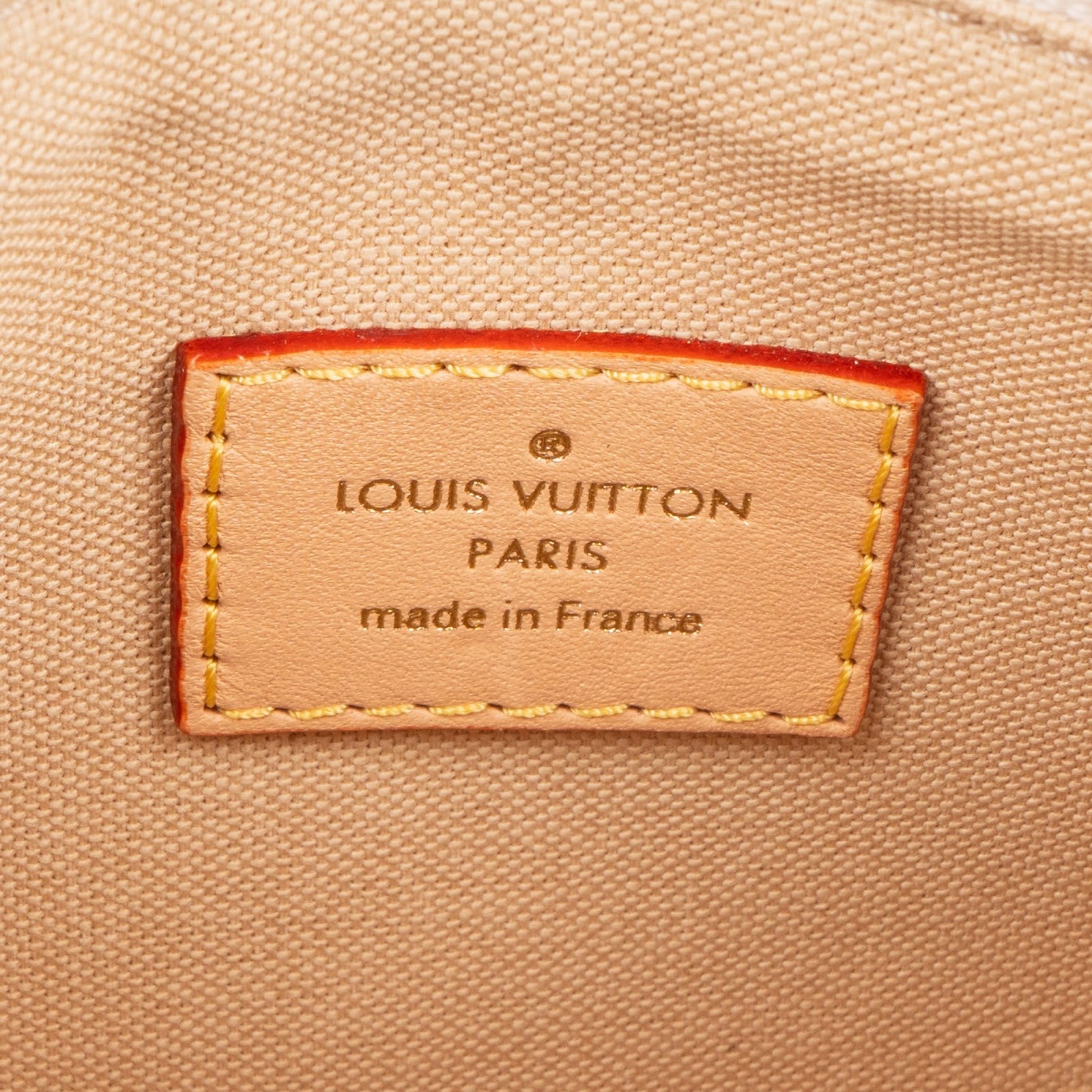 Louis Vuitton Monogram Mini Lin Hills Pochette Accessoires Handbag - vintageandkickz