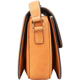 Celine Canvas Leather Triomphe Crossbody Bag