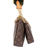 Louis Vuitton Monogram Canvas Multi Pochette Accessoires Crossbody Bag