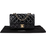 Chanel Quilted Leather Medium Double Flap Crossbody Bag