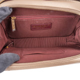 Chanel Quilted Leather Camera Case Boy Crossbody Bag
