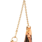 Louis Vuitton Monogram Canvas Loop Shoulder Bag