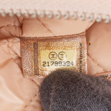 Chanel Quilted Metallic Lambskin CC Pouch