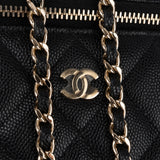 Chanel Quilted Caviar Leather Vanity Case Crossbody Bag