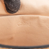 Chloé Python Elsie Shoulder Crossbody Bag