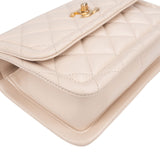 Chanel Quilted Lambskin Small Single Flap Crossbody Handbag