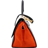 Celine Tricolor Suede Leather Trapeze Handbag