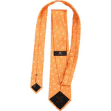 Celine Triomphe Pattern Silk Tie Krawatte
