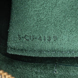 Celine Dark Green Grained Calfskin Belt Nano Handbag