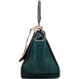 Céline Tricolor Leather Pony Hair Trapeze Handbag