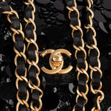 Chanel Limited Sequin Classic Medium Single Flap Crossbody Bag