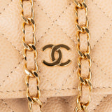 Chanel Quilted Caviar Leather Wallet On Chain Crossbody Bag