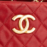 Chanel Quilted Iridescent Leather Iridescent Chic Bowler Shoulder Bag