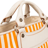Celine Striped Canvas Boogie Handbag