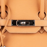 Hermès Fjord Leather Birkin 35 Handbag Beige Brown Palladium Hardware - vintageandkickz