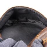 Louis Vuitton Monogram Canvas Bumbag Crossbody Bag