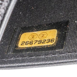 Chanel Quilted Caviar Leather Small Boy Wallet On Chain Crossbody Bag