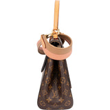 Louis Vuitton Monogram Canvas Cluny MM Handbag
