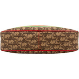 Christian Dior Trotter Monogram Galliano No. 2 Raffia Crossbody Bag