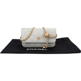 Chanel Quilted Lambskin Mini Adjustable Wallet On Chain Crossbody Bag