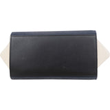 Céline Tricolor Leather and Canvas Trapeze Handbag