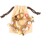 Louis Vuitton Monogram Multicolor Pastilles Chain Bag Charm Key Holder