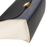Céline Tricolor Leather and Canvas Trapeze Handbag