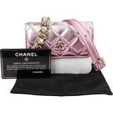 Chanel Quilted Metallic Lambskin Waist Crossbody Bag